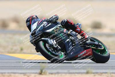 media/May-12-2024-SoCal Trackdays (Sun) [[ad755dc1f9]]/10-Turn 4 Tree of Life (1120am)/